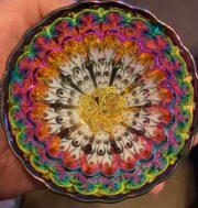 Vivid   Peacock - Image 6
